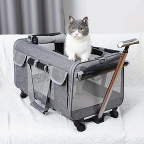 Pet Luggage