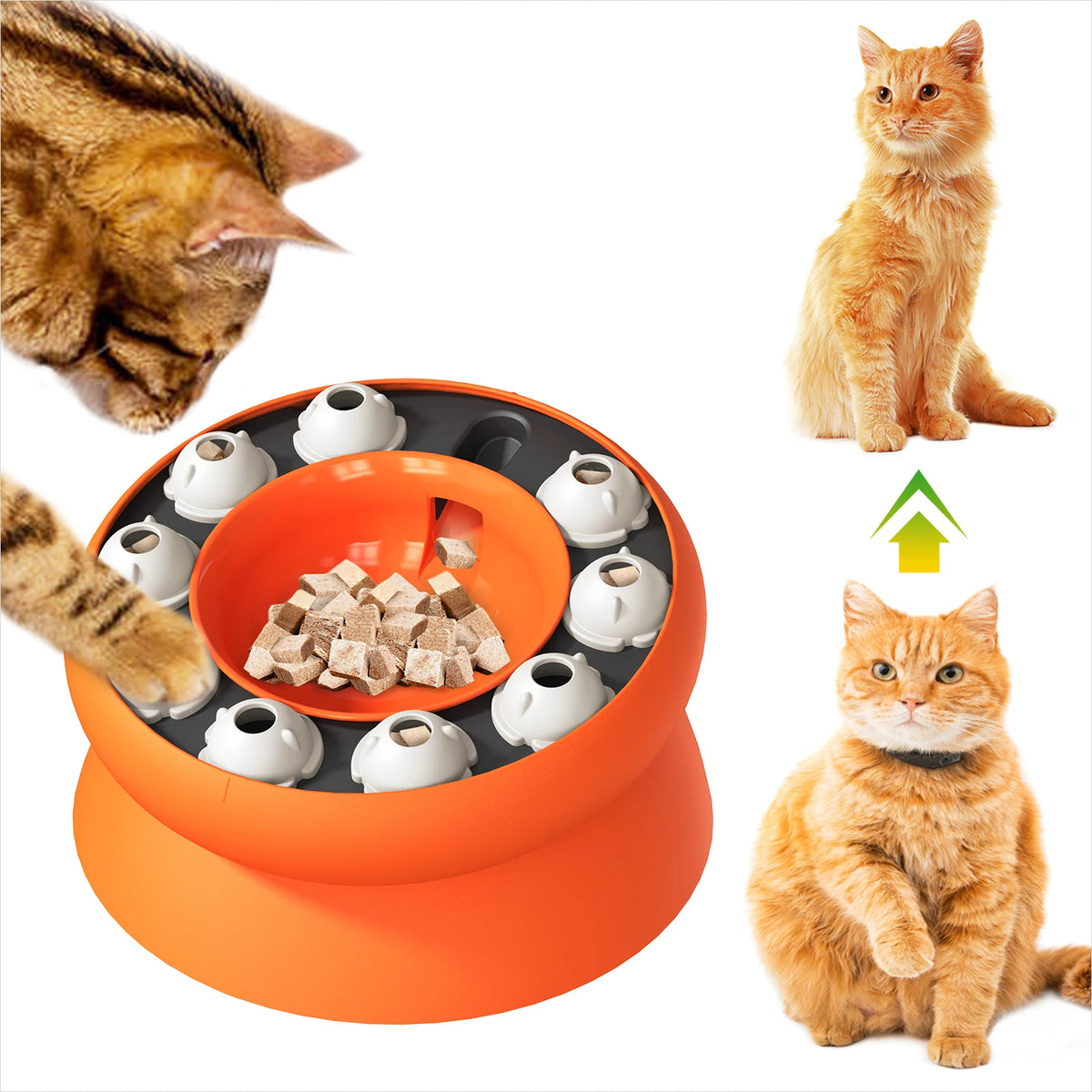 Feed'n'Play Cat Bowl