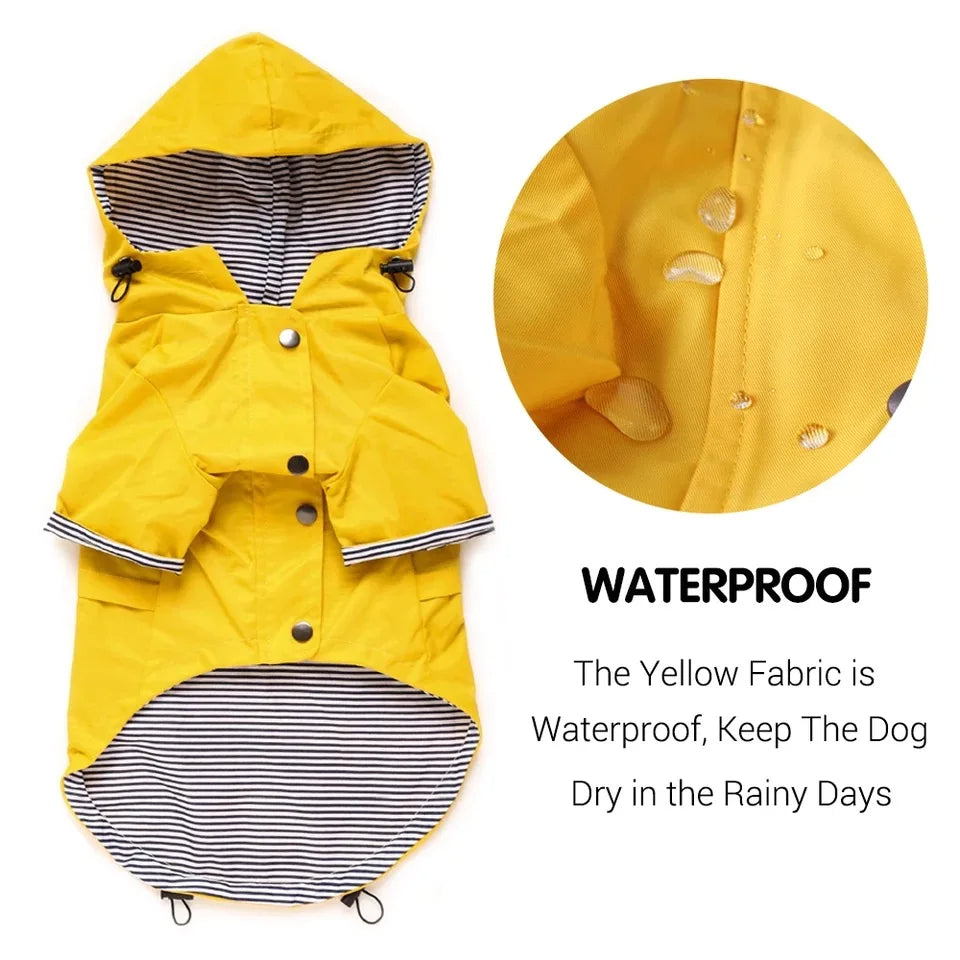 Dog Raincoat