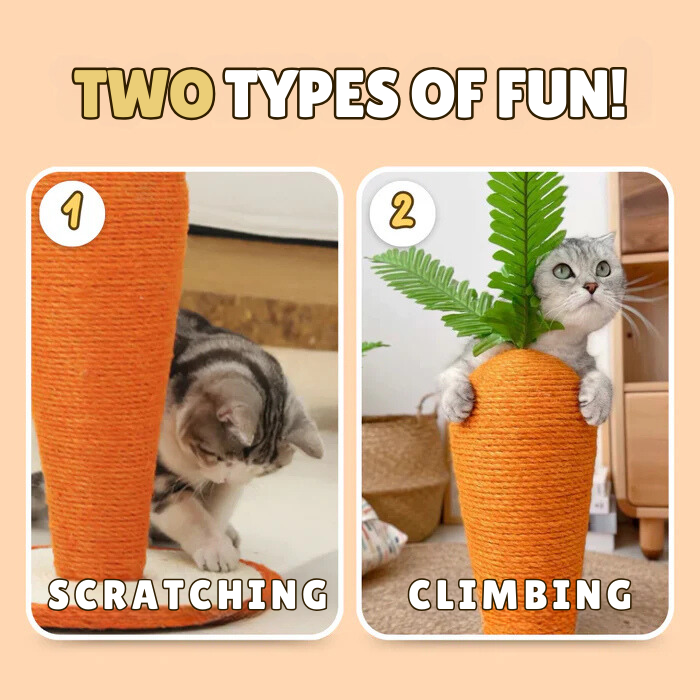 Carrot Scratching Post