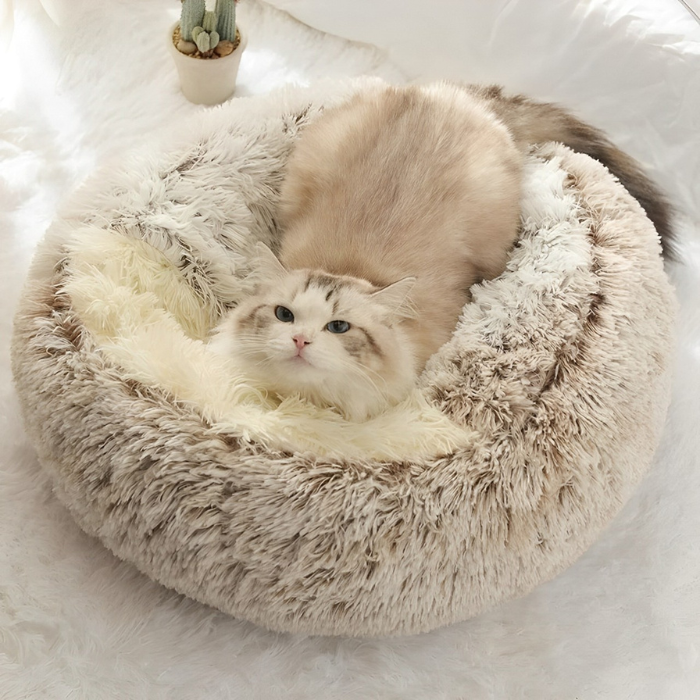 Cozy Nest Bed