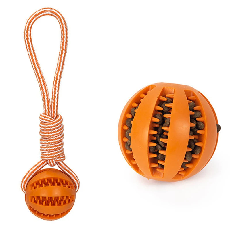 Pet Treat Ball