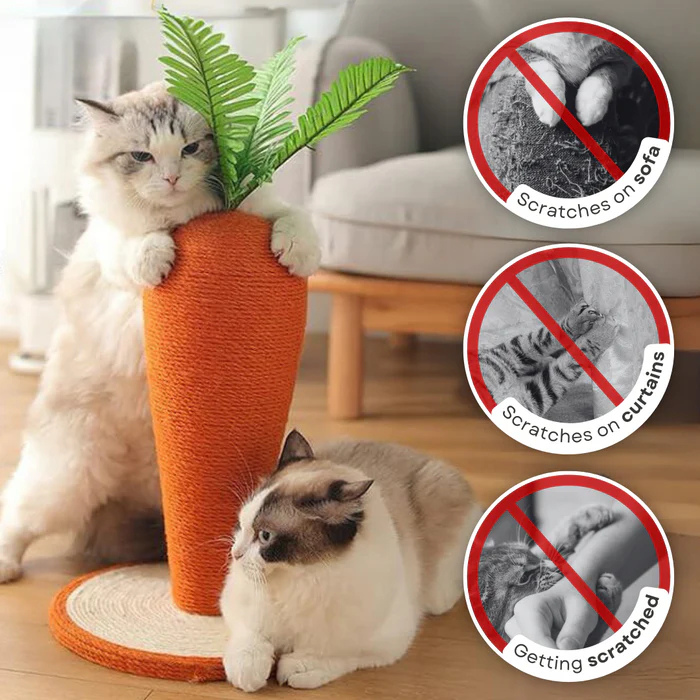 Carrot Scratching Post