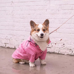 Dog Raincoat