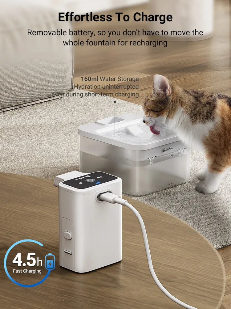 Automatic Stainless Steel Cat Water Fountain