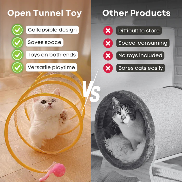 Open Tunnel Toy