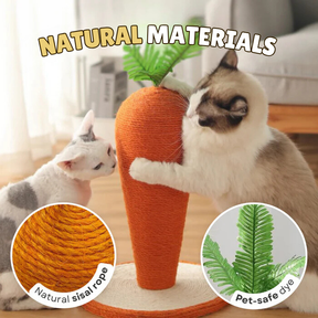 Carrot Scratching Post