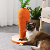 Carrot Scratching Post