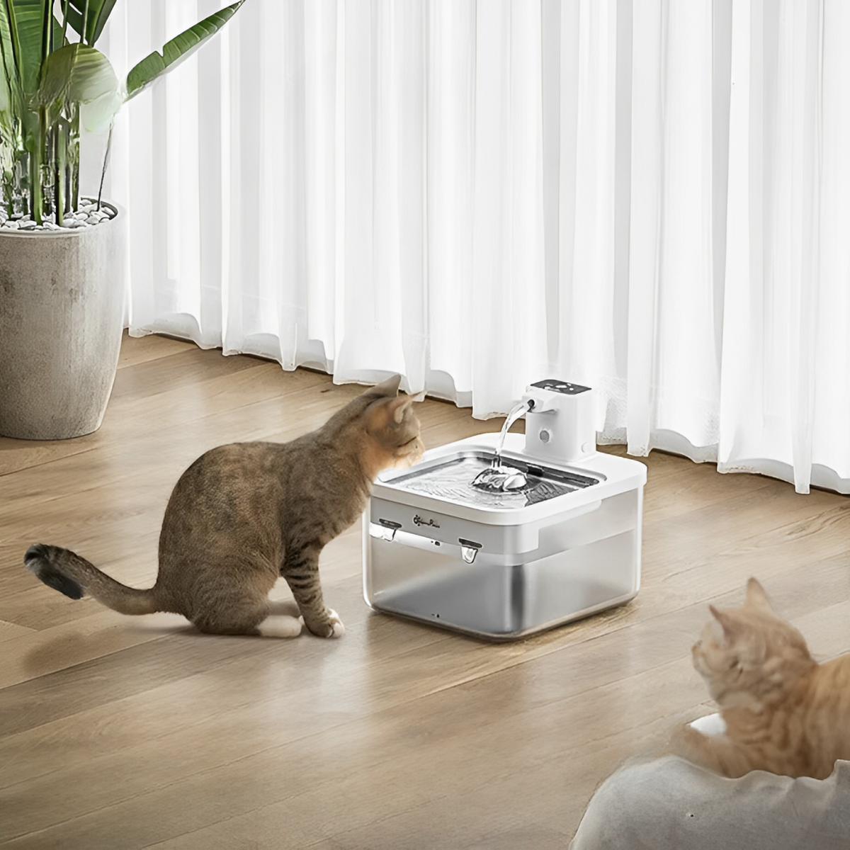 Automatic Stainless Steel Cat Water Fountain