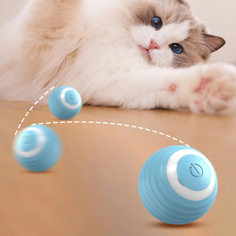 Smart Cat Ball