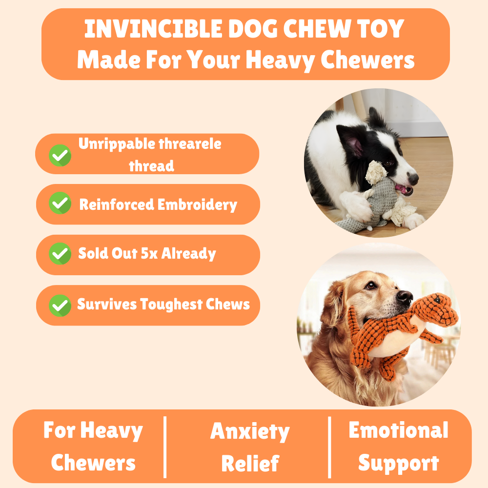 Dog Chew Toy - Bite Resistant