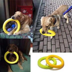 Ring Bite Toy