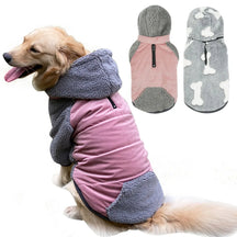 Cold Clothes for Dogs